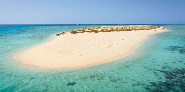 Read more about the article Hamata i wyspa Qulaan 55$