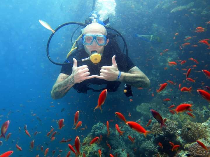 Read more about the article Nurkowanie INTRO dla początkujących Dom Delfinów