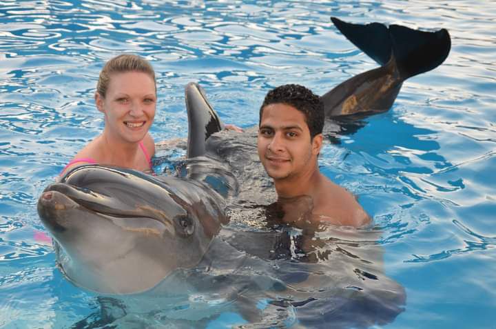 Read more about the article Delfinarium Hurghada – Pływanie z delfinami